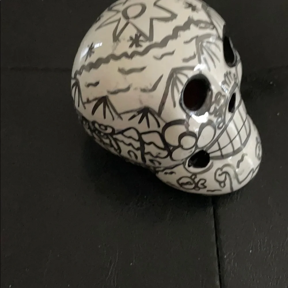 Skull black and white art piece
